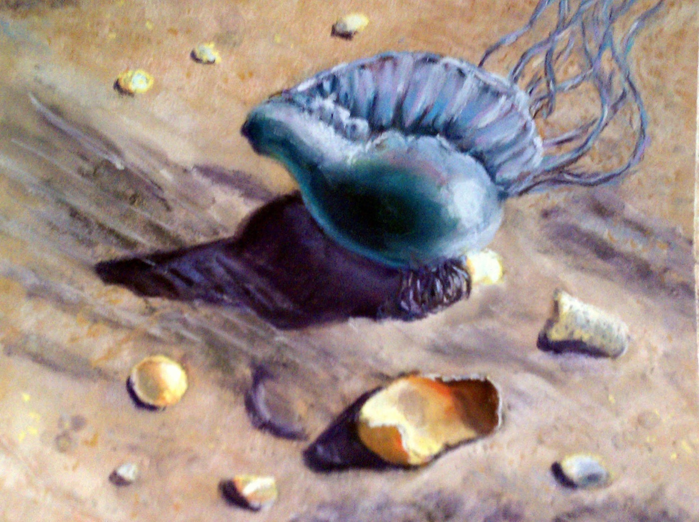 Pastel painting of a seashell and jellyfish on the beach