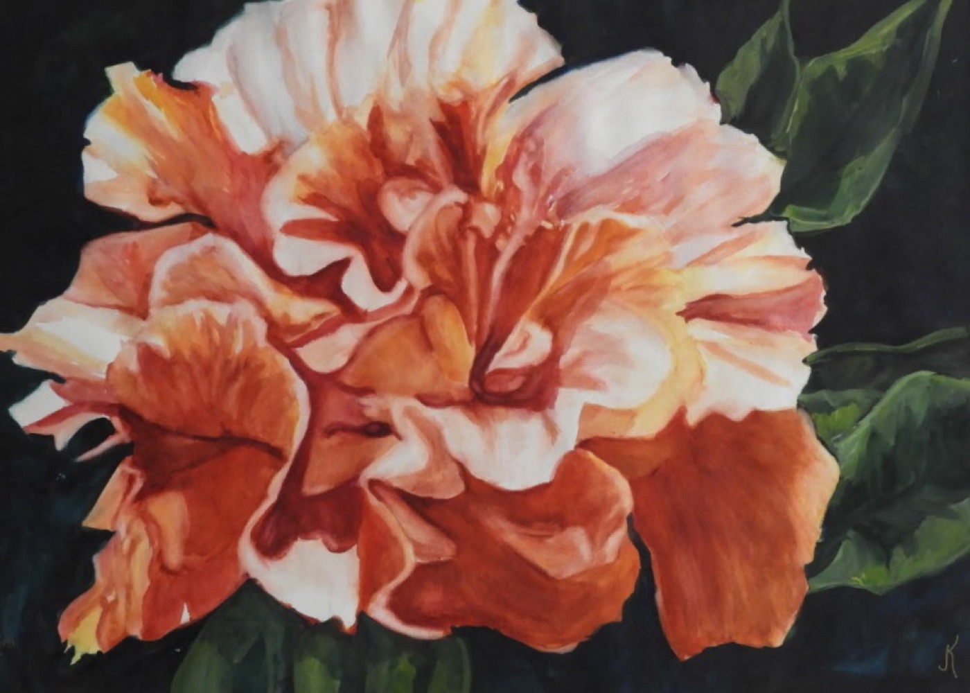 Watercolor painting of a ruffled orange and white flower