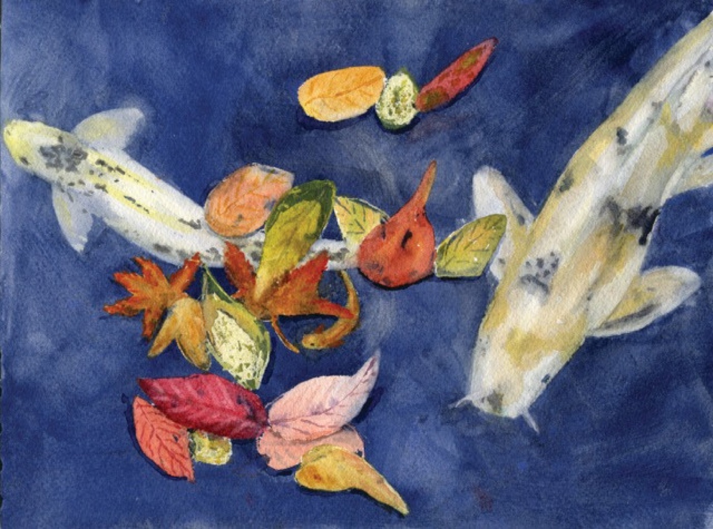 Watercolor painting of koi fish among lily pads