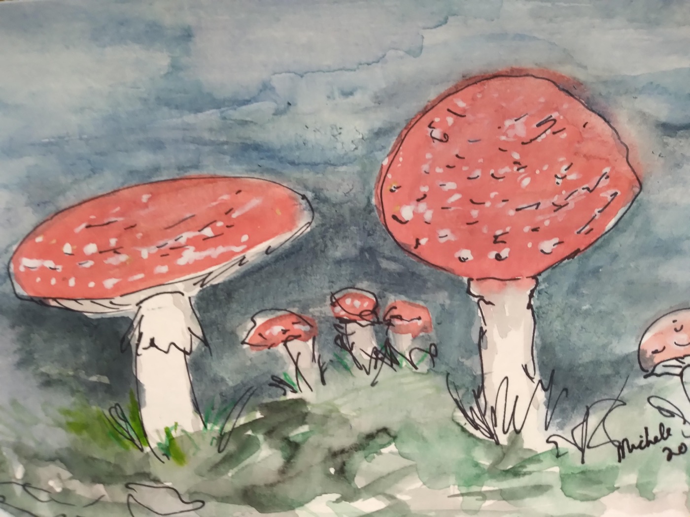 Watercolor and ink painting of red toadstool mushrooms