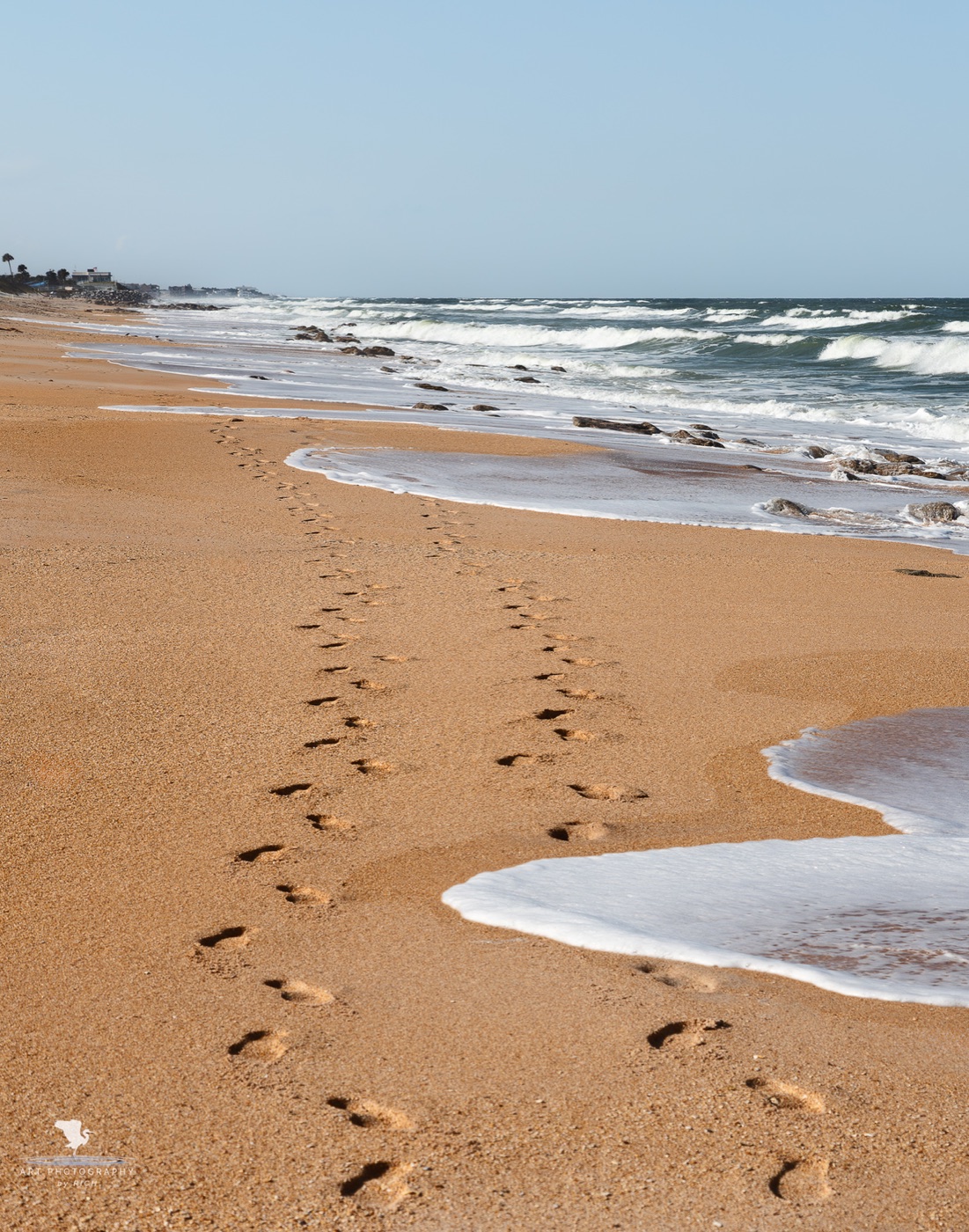 Photograph of footprints along a beach shoreline