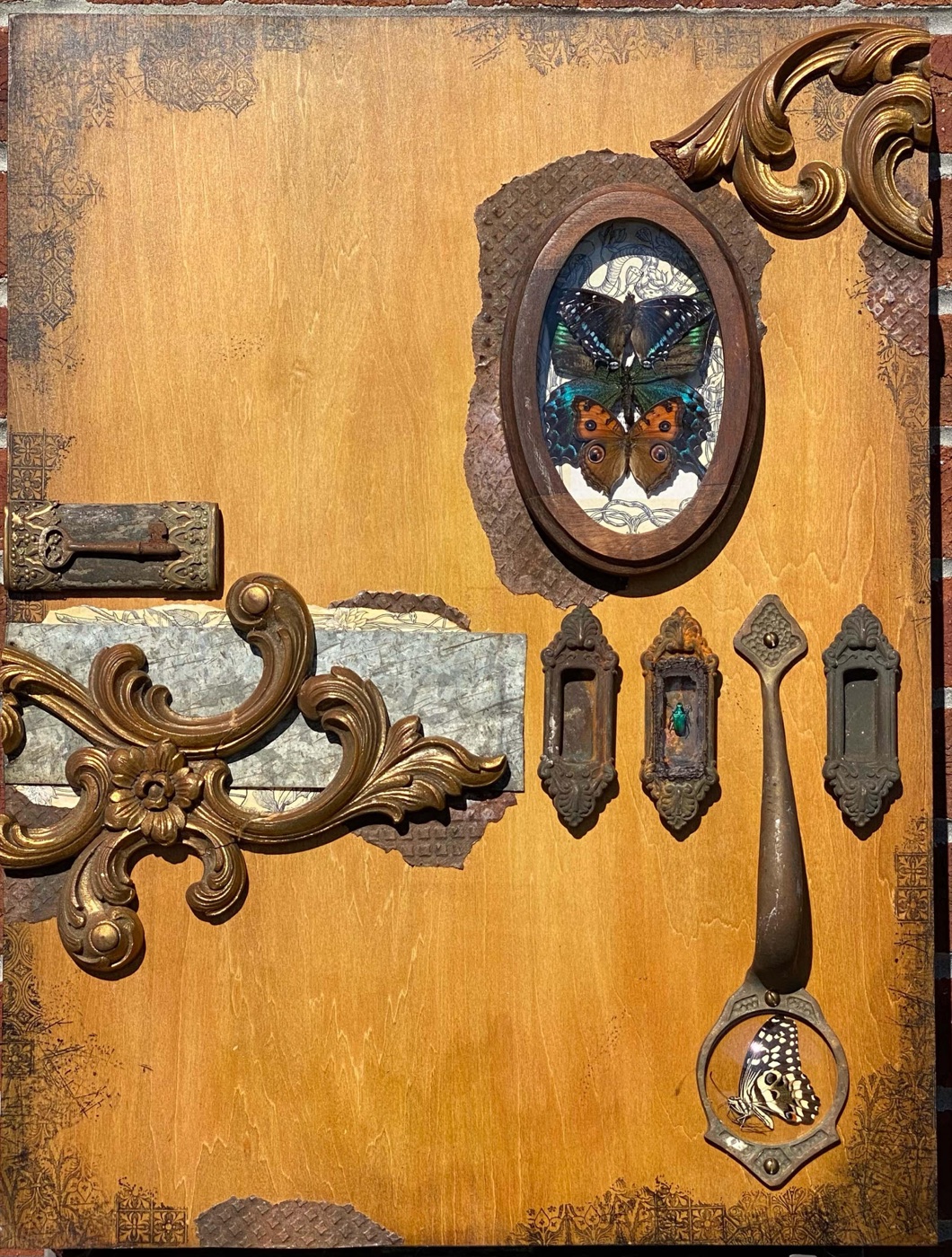Found-object assemblage artwork with framed butterflies and beetles