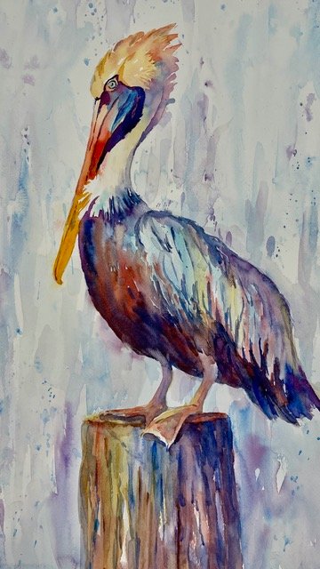 molsick pelican pete molsick pelican pete